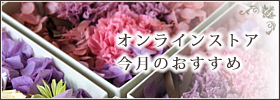 今月のおすすめ